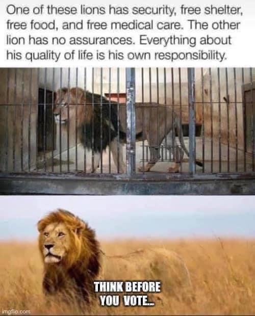 dmgrahek's tweet photo. So true! https://t.co/kMeRSD81X0