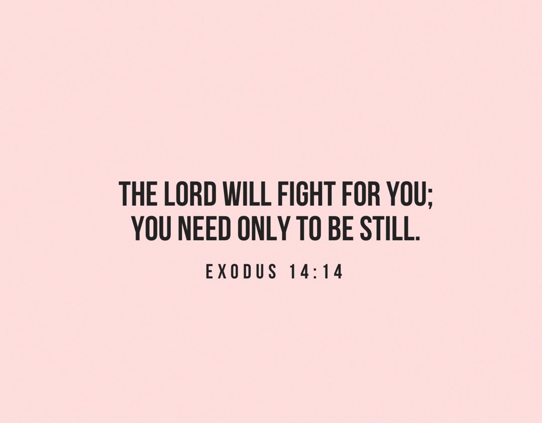 sera_smallish's tweet image. 