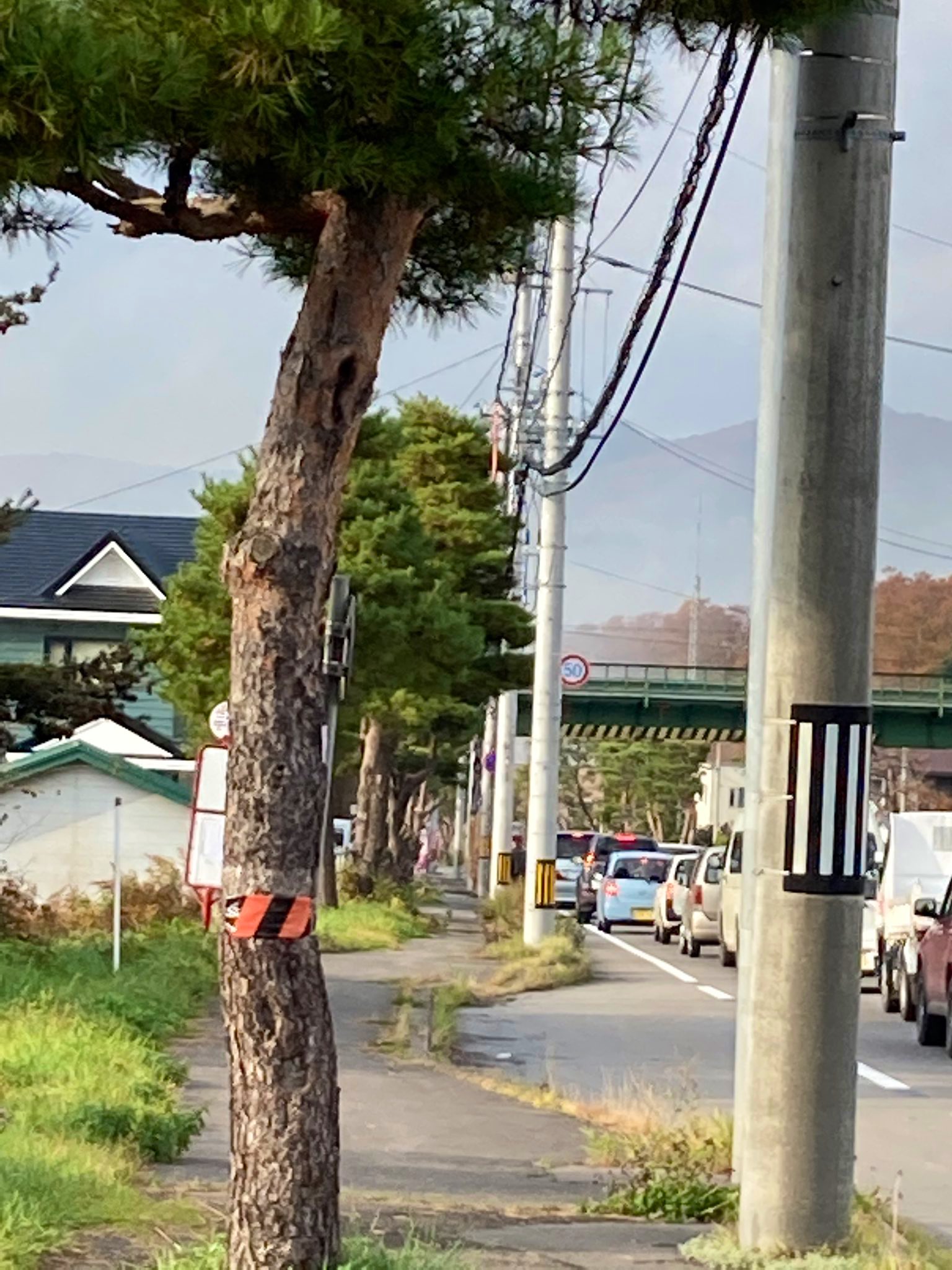 函館災害情報 13時59分 七飯町字桜町で火災が発生し消防車が出動しています 七飯 火災情報投稿 Hakodate119 こんにちは いつもお疲れ様です 七飯消防の少し大沼より左車線で煙もくもく出て消防車2台出動してます 札幌行き車線渋滞しています