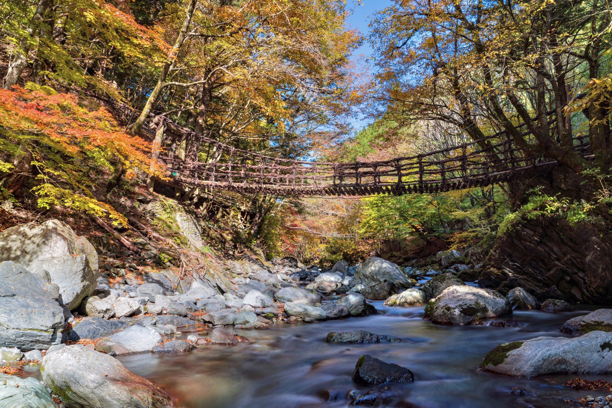 徳島県三好市 公式 奥祖谷二重かずら橋周辺では木々が色付き始めています 10月31日撮影 奥祖谷二重かずら橋 三好市 紅葉 T Co Wotnrdy8ah Twitter 徳島県三好市 公式 奥祖谷二重かずら橋周辺では木々が色付き始めています 10月31日撮影 奥祖谷二重かずら橋 三好市 紅葉 T Co Wotnrdy8ah Twitter