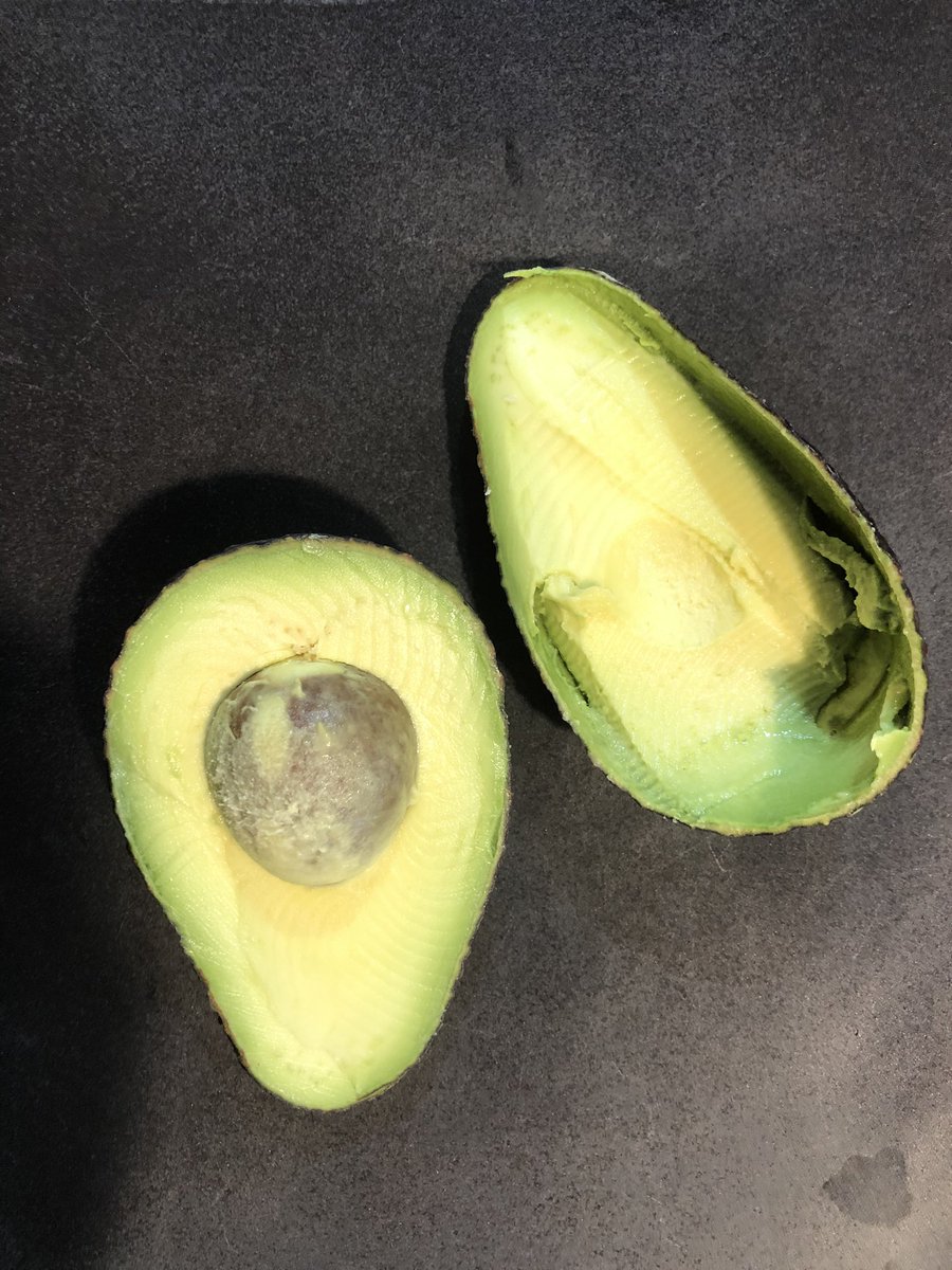 te_wepu's tweet photo. I think we are officially the most southern avocado orchard in NZ unless someone can tell us otherwise @NZ_Avocado?
French Farm, Banks Peninsula, NZ
80 🥑 trees going strong! 
#southislandavocadogrowers #paddocktoplate #smashedit #avogo https://t.co/JIy7TuOxVh