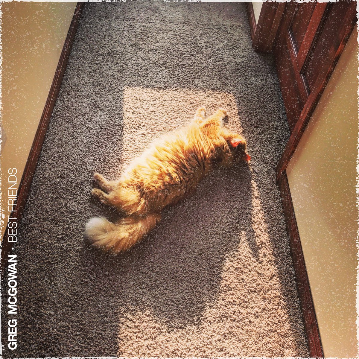 gregmcgowan's tweet image. surprise! i’m releasing my first solo single on november 13th. presave it now on spotify! smarturl.it/gmbf send me a screen shot ya did it and i’ll send you my atlantic city cover for download. xo.