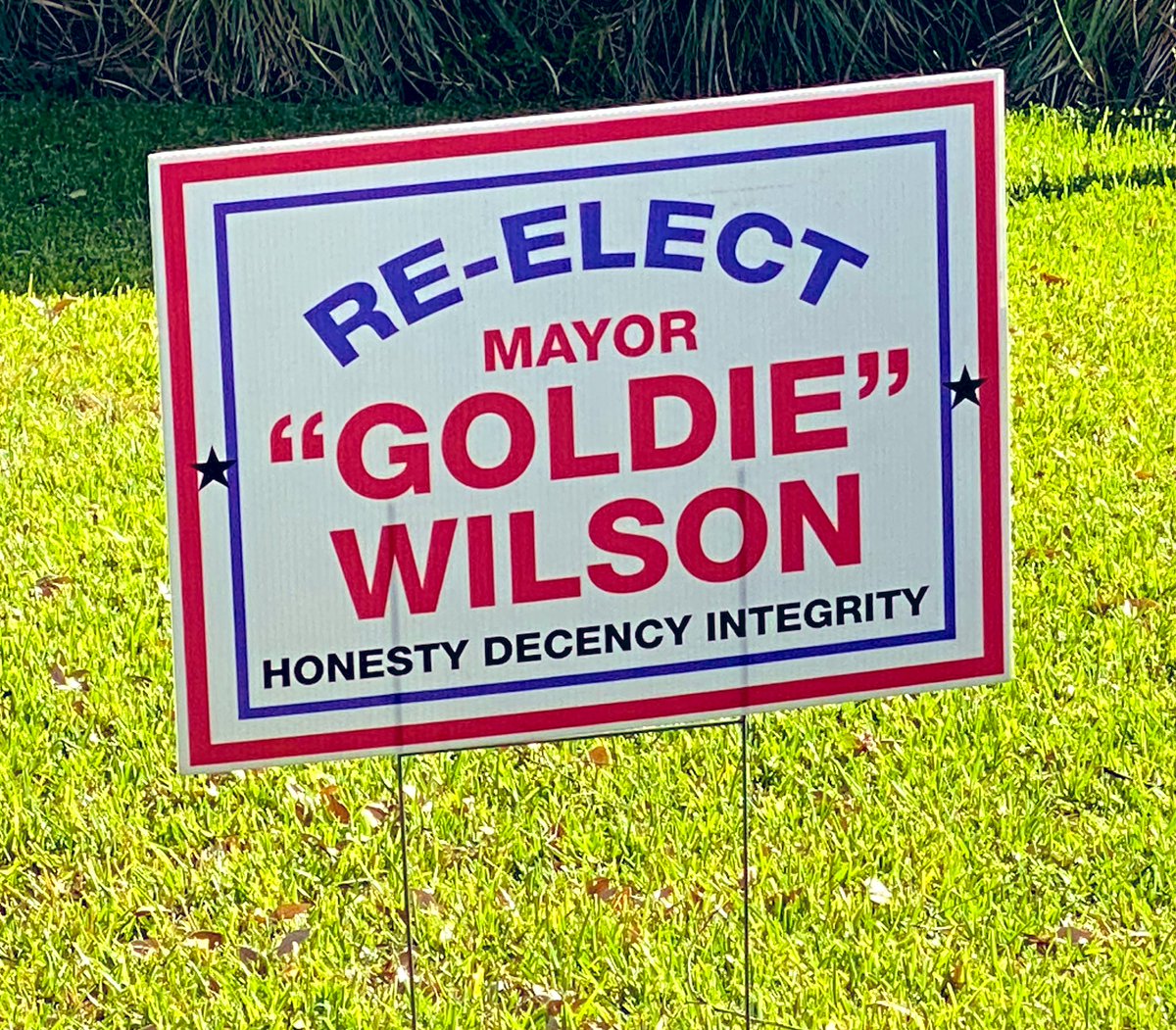 For the win

#election #hillvalley #mayorgoldiewilson #ilikethesoundofthat