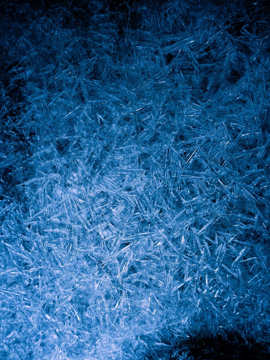 chasmorgan_'s tweet photo. tbh i’m excited for winter 🥶 https://t.co/FEYD1Rz7lC
