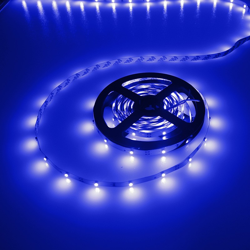 21zonnecel's tweet photo. IP20 | 12V | 5M | 150 x 3528 | blauw https://t.co/4aDCZJDY6T https://t.co/55wZCuvJG9