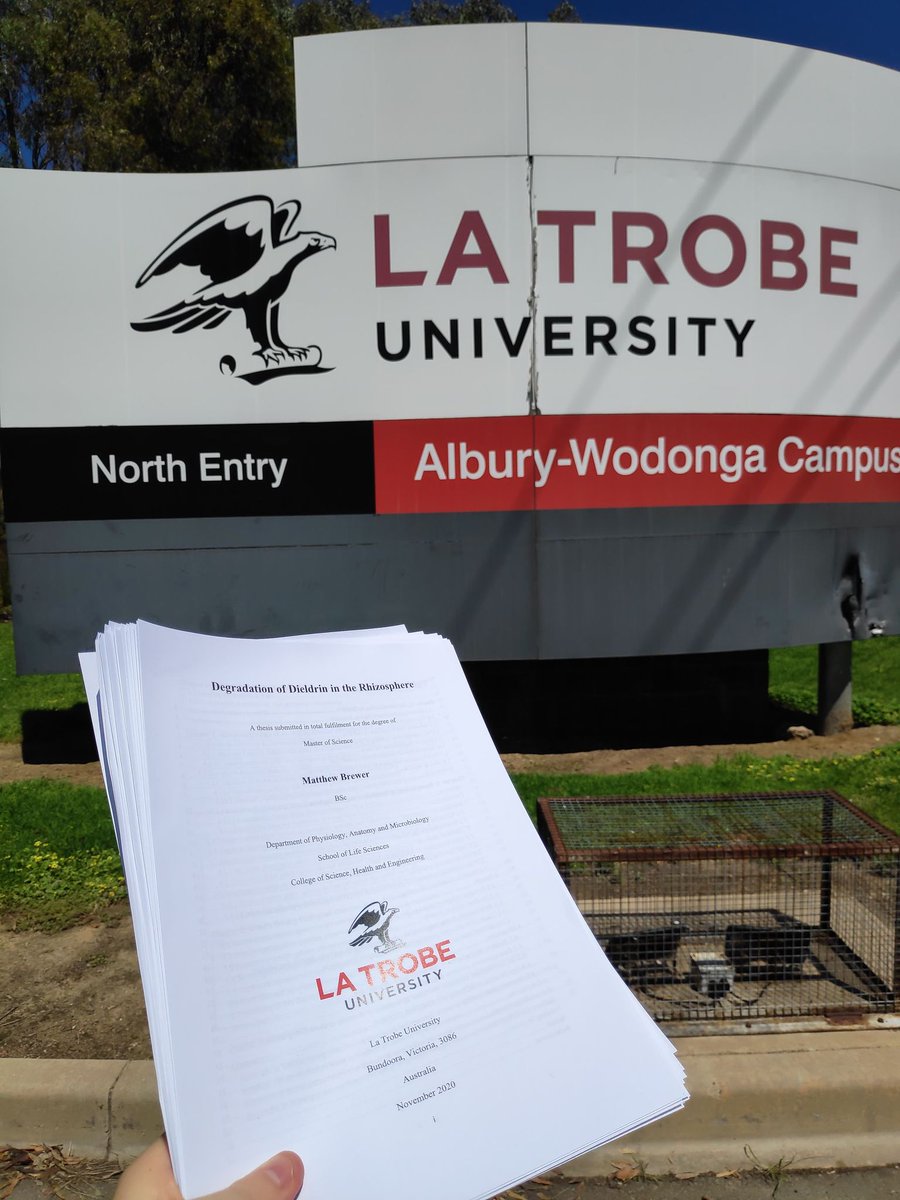 Matthew Brewer tweet media