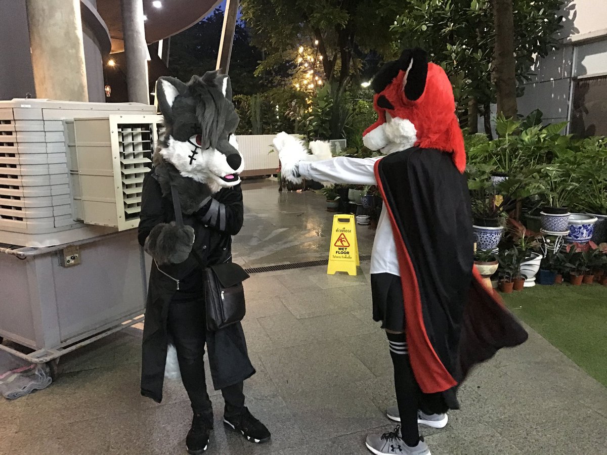 ~ ~
  ~   ~  🦊🐺
 ~  ~