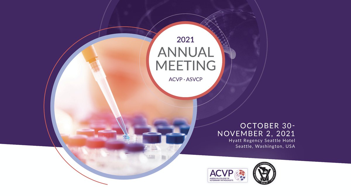 ACVP's tweet photo. Many thanks again for joining us virtually at the 2020 Concurrent Annual Meeting!
Save the dates for the ACVP/ASVCP 2021 Annual Meeting October 30-November 2, 2021 #acvpvirtual2020 https://t.co/piAB2KNKtt