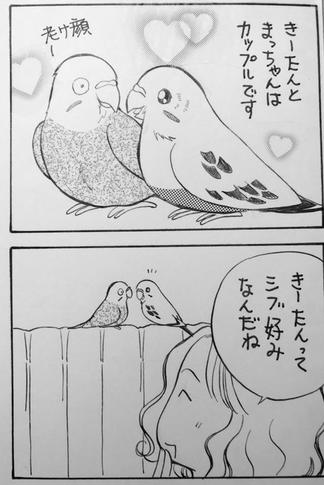 インコ漫画 を含むマンガ一覧 ツイコミ 仮 インコ漫画 を含むマンガ一覧 ツイコミ 仮