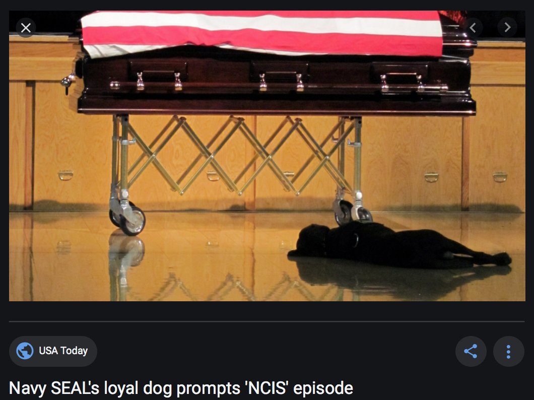 Another poll: You human speciesists who think humans are superior to "lesser" beings, like dogs, cats, you name it. Okay, let's vote. The dog who won't leave his SEAL friend killed in action or Ted Bundy-mass murderer serial rapist. Can only save one from drowning: