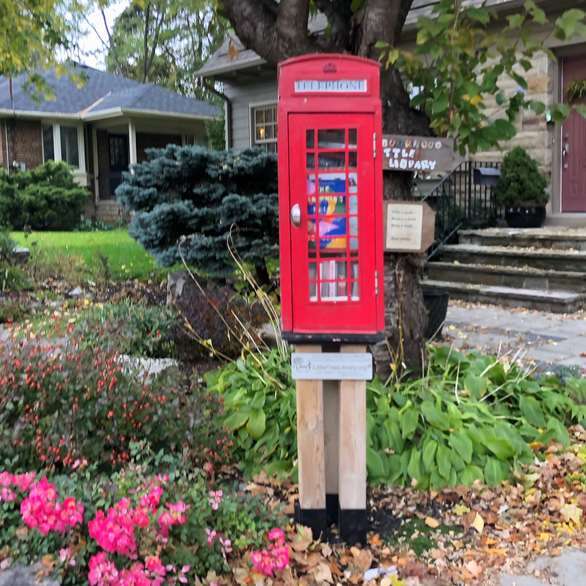 Little Free Diverse Libraries Canada tweet media