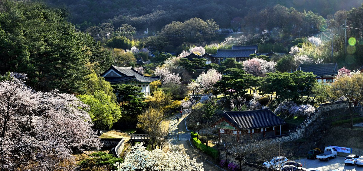 DreamDaejeon's tweet photo. 우암 송시열 선생 모신 남간사(南澗祠) 문 활짝
송부자(尤庵 宋夫子) 탄신 413주년 추향제(秋享祭) 기점 상시 개방/조선 후기 대유학자이자 우리지역 대표��� 인물 우암 선생 기리기위해 대전시가 조성한 사적공원/한옥과 연못ㆍ수목이 한데 어우러져. #우암사적공원 #송시열 #남간사 #남간정사 #송부자 https://t.co/Ds4e0Gh8oS