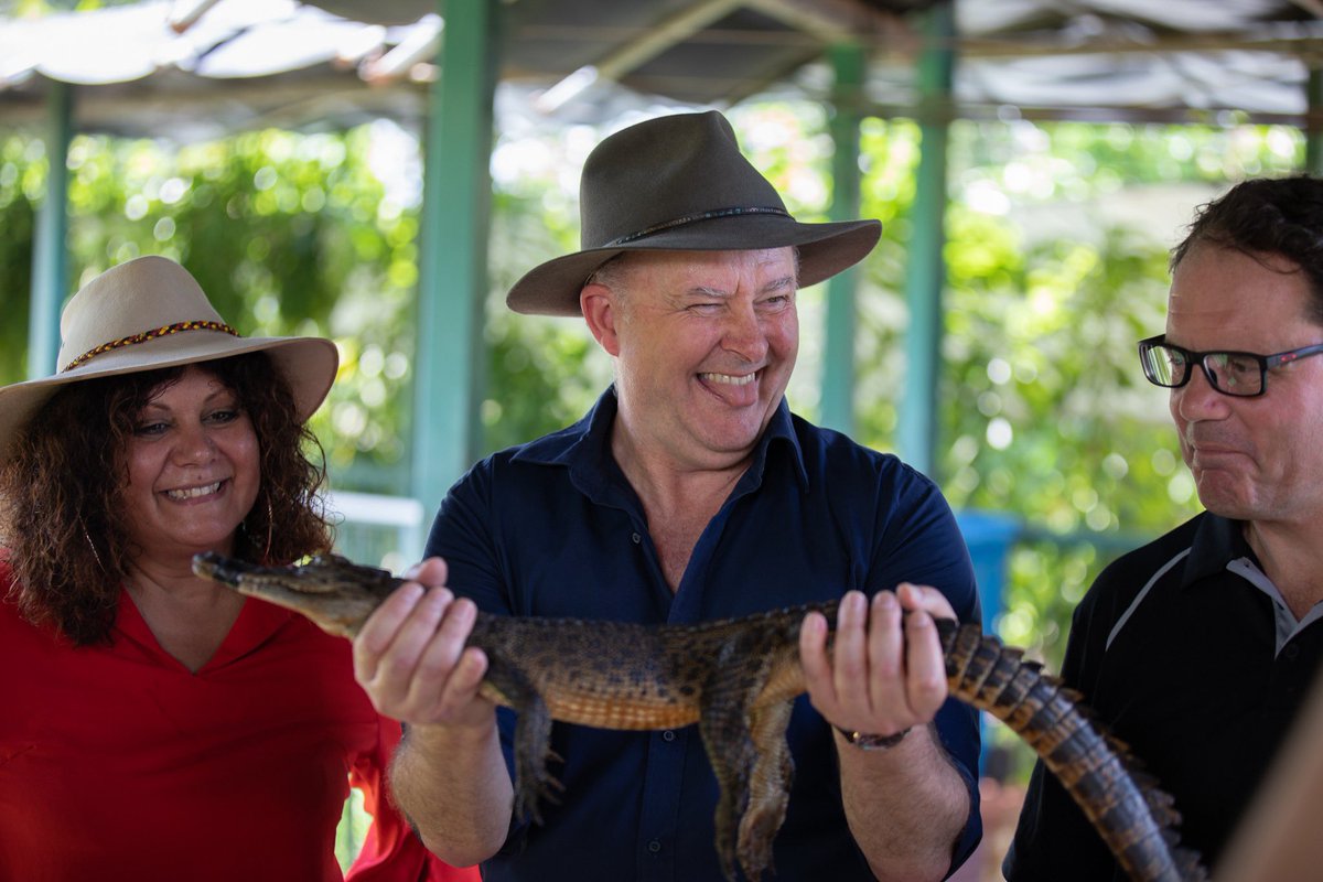 Anthony Albanese tweet media