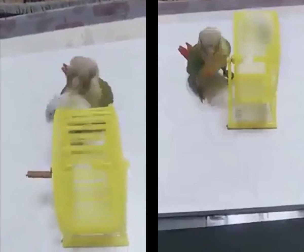 Daily Napkins tweet media