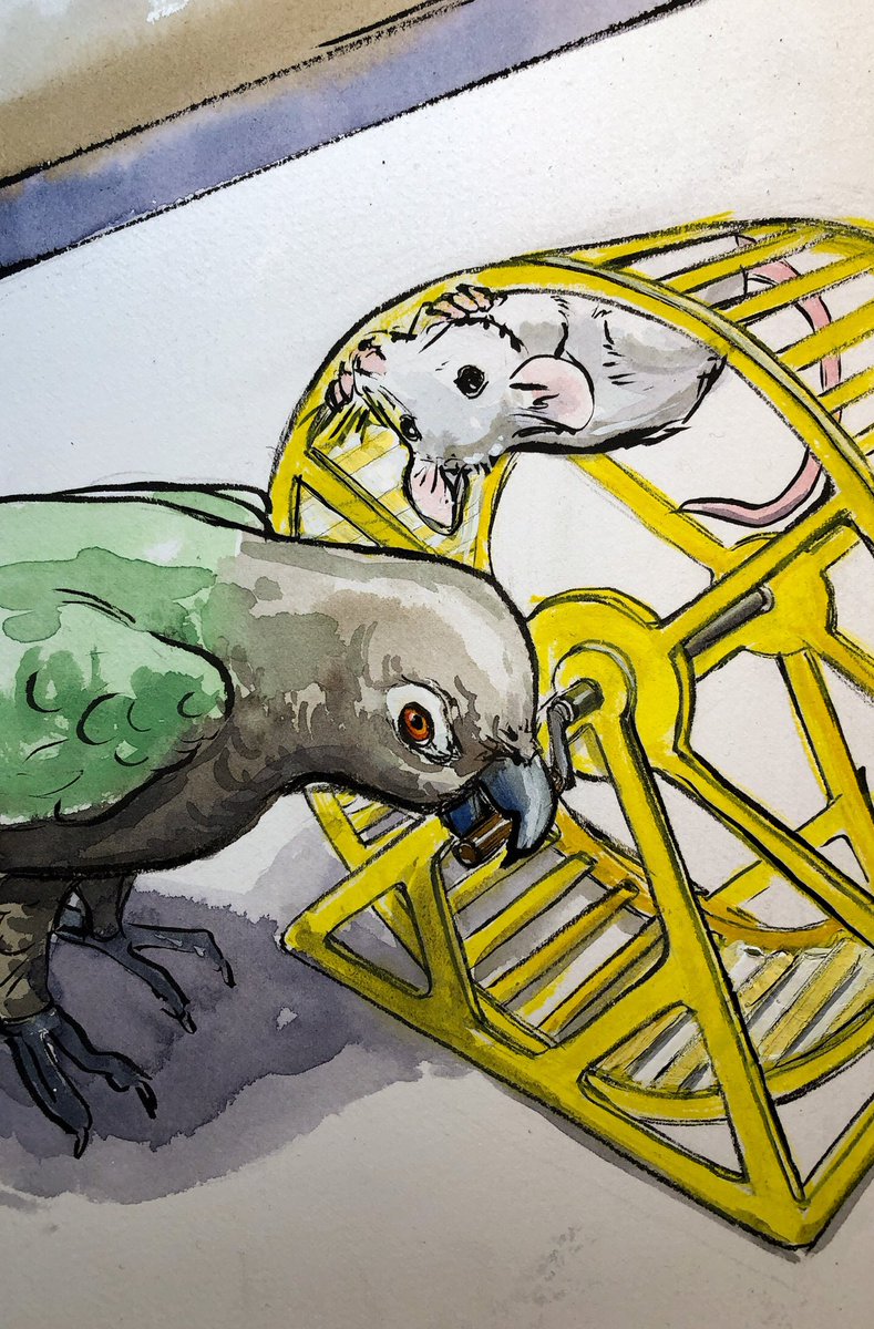 Daily Napkins tweet media