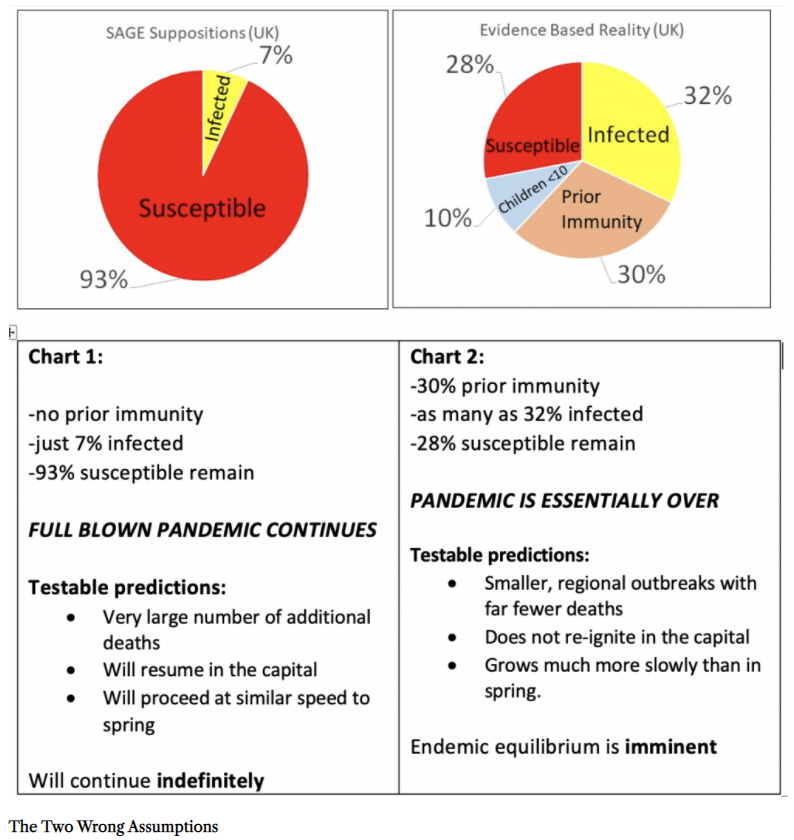 Don't take my word for it:We may have reached the endemic equilibrium described by Dr Mike Yeadon, formerly of Pfizer.