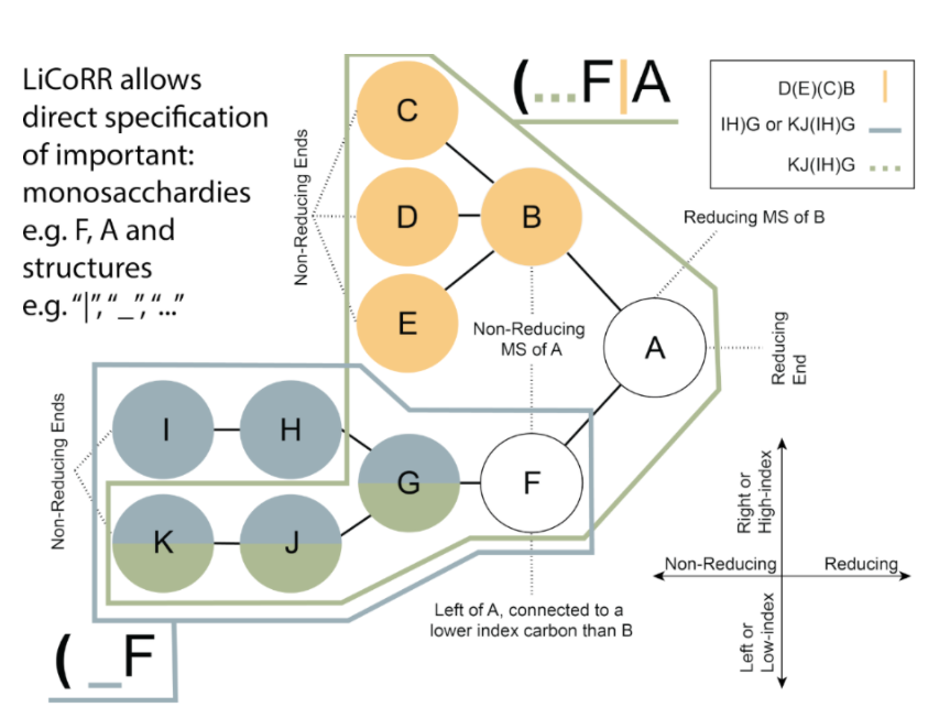 bkell1123's tweet photo. Excited to share our recent work in subnetwork representation conventions for systems glycobiology: Linear Code for Reaction Rule (LiCoRR)

It's like regex for glycan tree-graphs; a succinct formalism for writing down what's important parts of your glycan when it's #glycotime https://t.co/nW0ctPG7F6