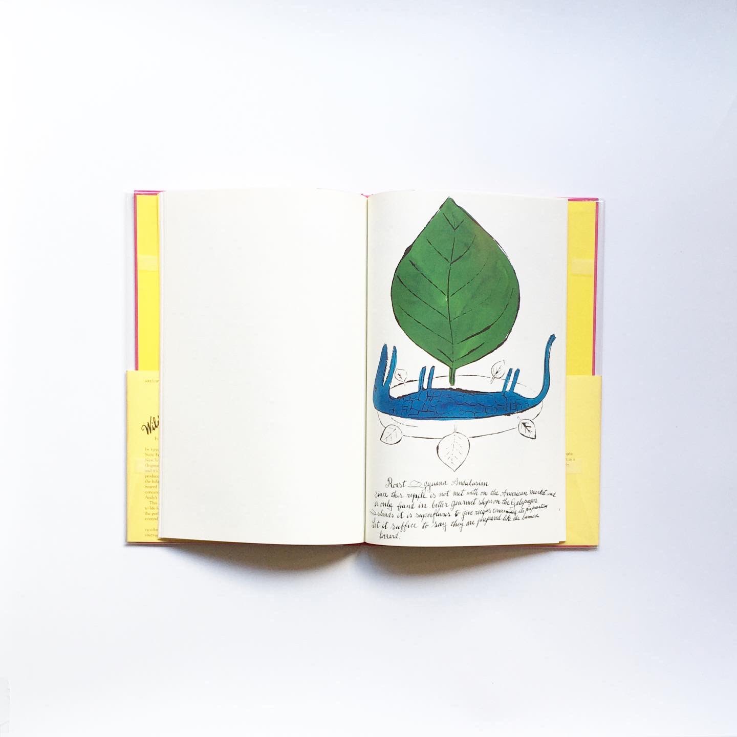 Dessin デッサン Andy Warhol And Suzie Frankfurt Wild Raspberries アンディ ウォーホルとインテリアデコレーターのスージー フランクフルトが手がけた 空想の料理本 イラストはウォーホル 文章はスージー フランクフルト 手書きの文字は