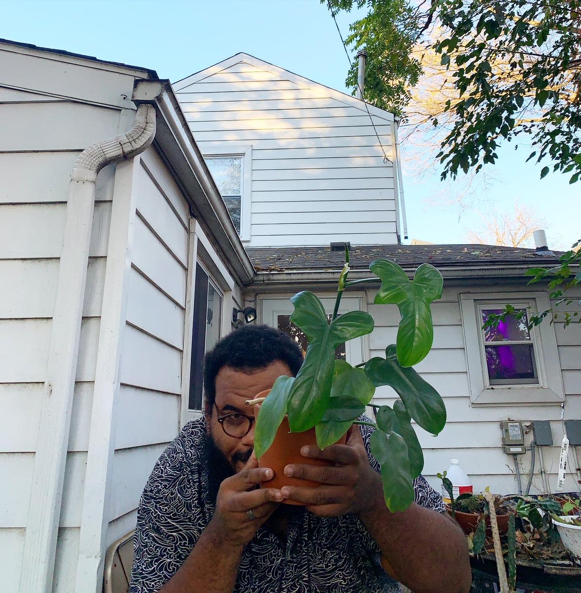 beariana_grande's tweet photo. Just gonna focus on being a #plantdaddy this week.. #stressedtfout https://t.co/4bGd4wFXJx