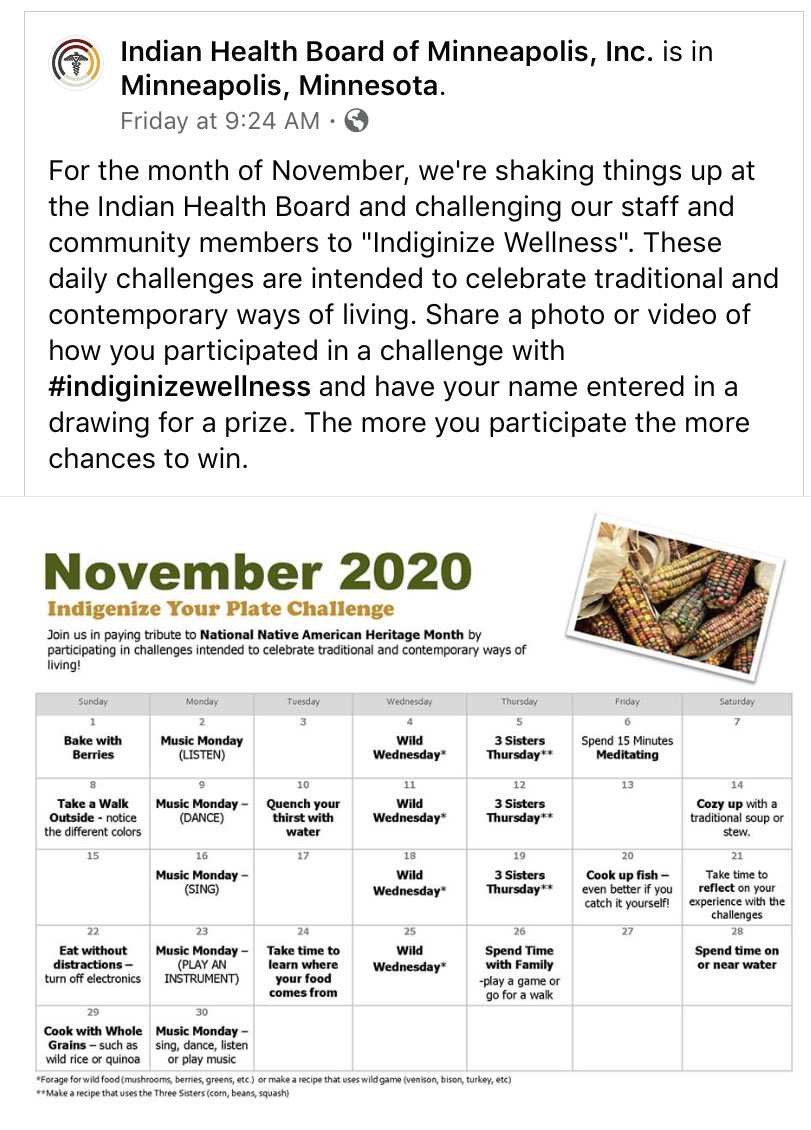  #Indigenizewellness with Indian Health Board of Minneapolis