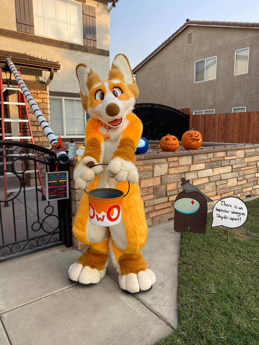 Happy late Halloween to all my furry friends out there! Hope you had fun and most important of all STAYED SAFE! ☺️🍳 #HappyHalloween2020 #FursuitFriday #furryfandom #amongus