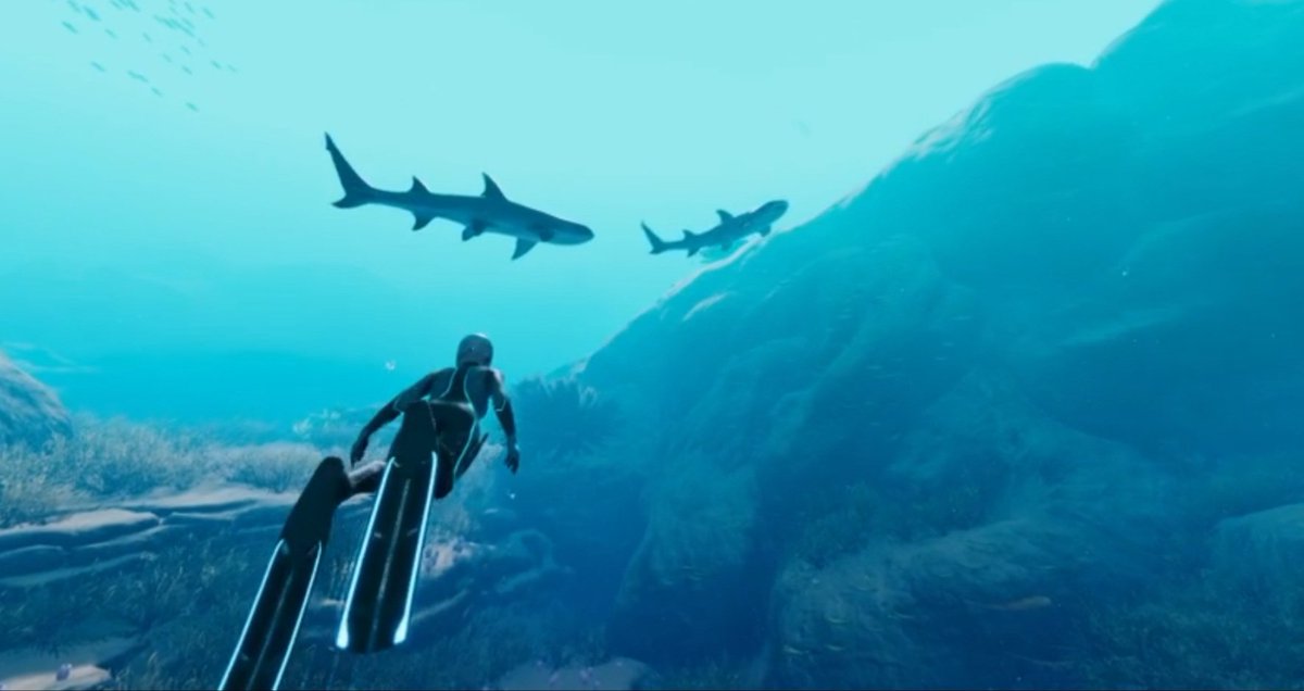 fanxtasma's tweet photo. just me and the sharks vibing :') https://t.co/8L4wU5kro8