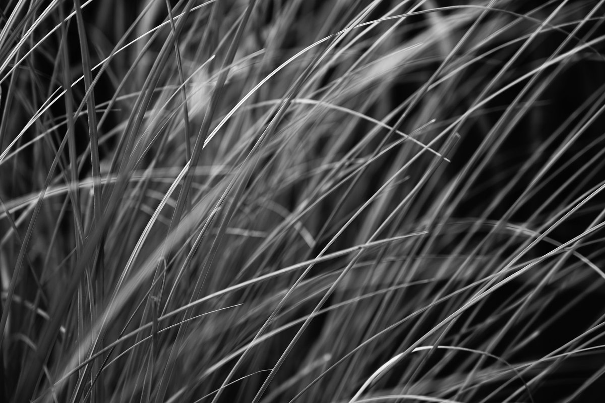 sounds_g00d's tweet image. #photography #nikon #light_nikon #nikonglobal #nikonphotography #nikonnofilter #nikonz6 #z6 #z2470f4