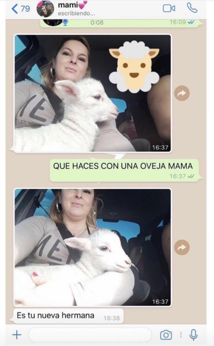 sussierave's tweet photo. yopppp de mamá: https://t.co/uoZKRgrzAX