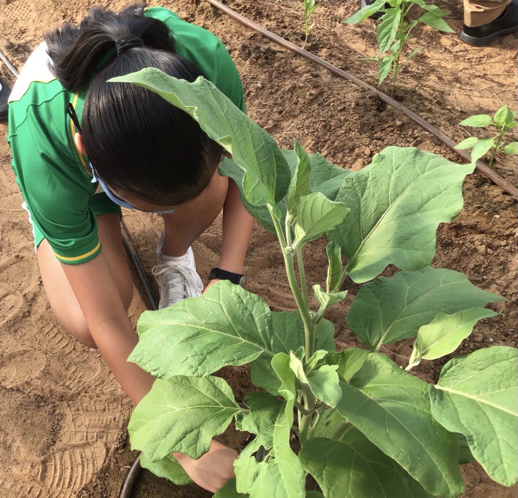 ArborYear8 tweet media