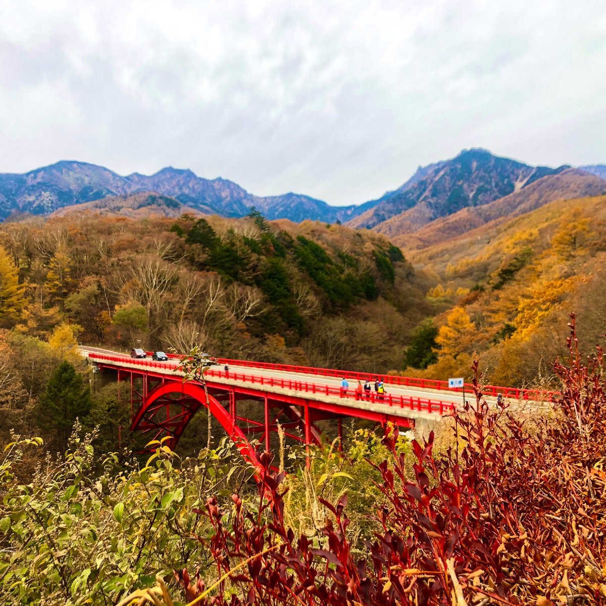 やまなしめぐり 公式 山梨の情報誌 Atto Navi Twitter