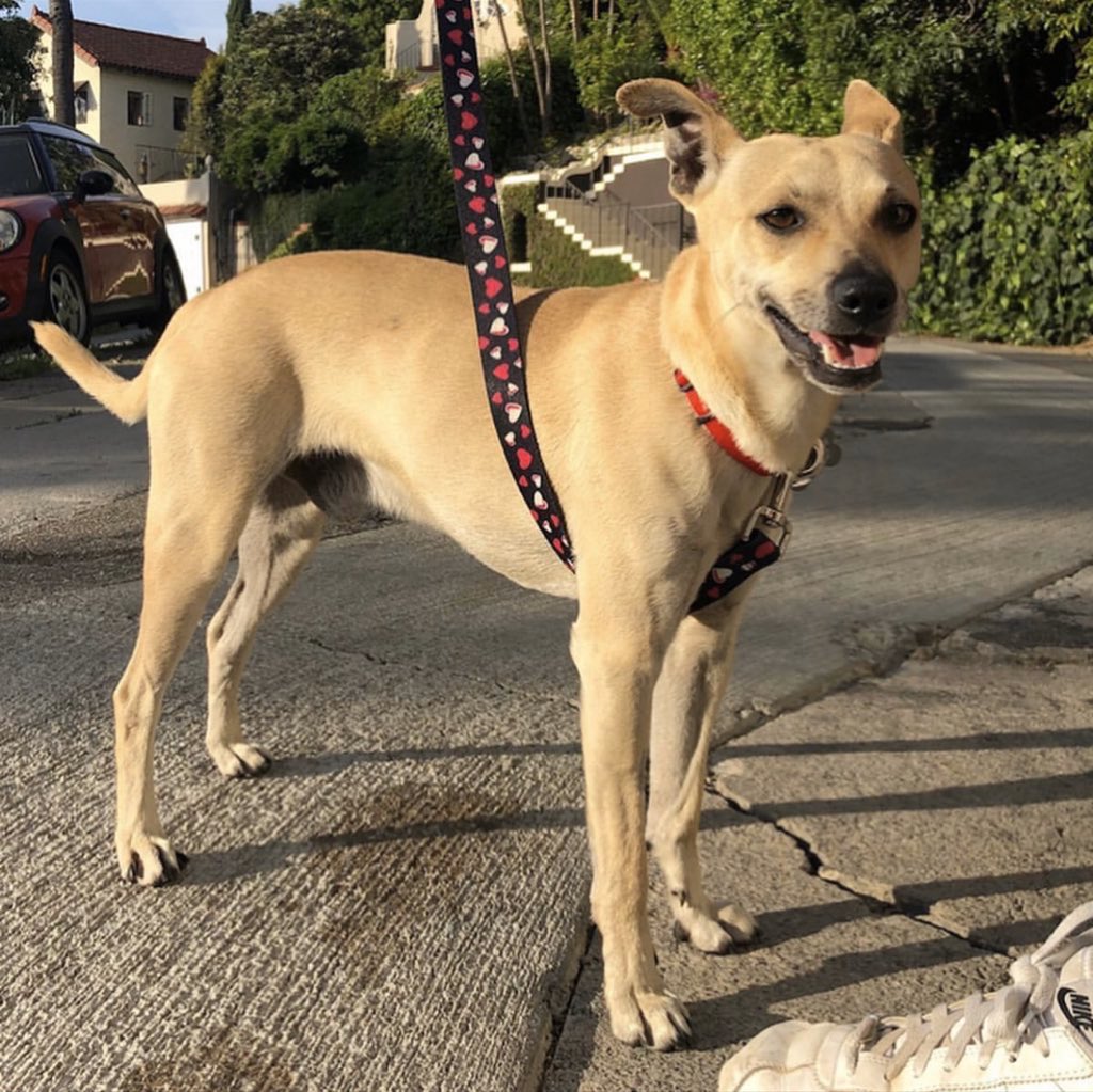 2. Logan seemed super cool & confident, like a high school sophomore or the middle evolution of a Pokémon. I really loved Logan and tbh I wasn’t even gonna change his name because there is def a Hugh Jackman energy going on here