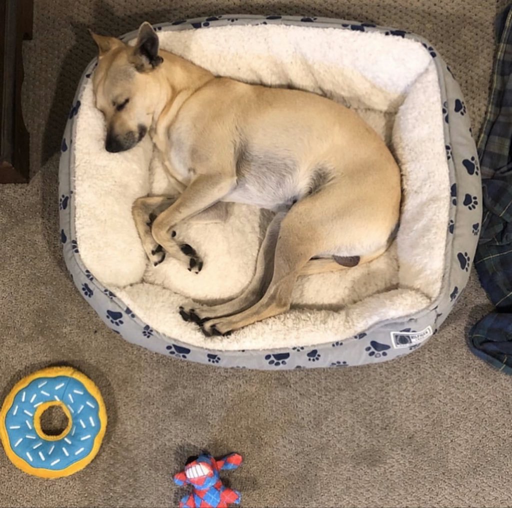 2. Logan seemed super cool & confident, like a high school sophomore or the middle evolution of a Pokémon. I really loved Logan and tbh I wasn’t even gonna change his name because there is def a Hugh Jackman energy going on here