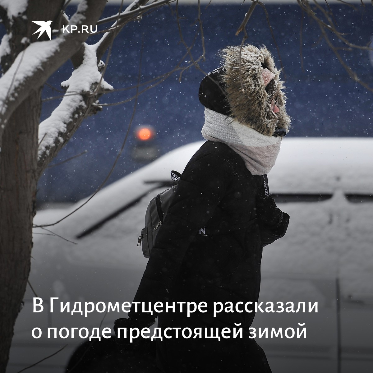 Какую зиму обещают в этом году