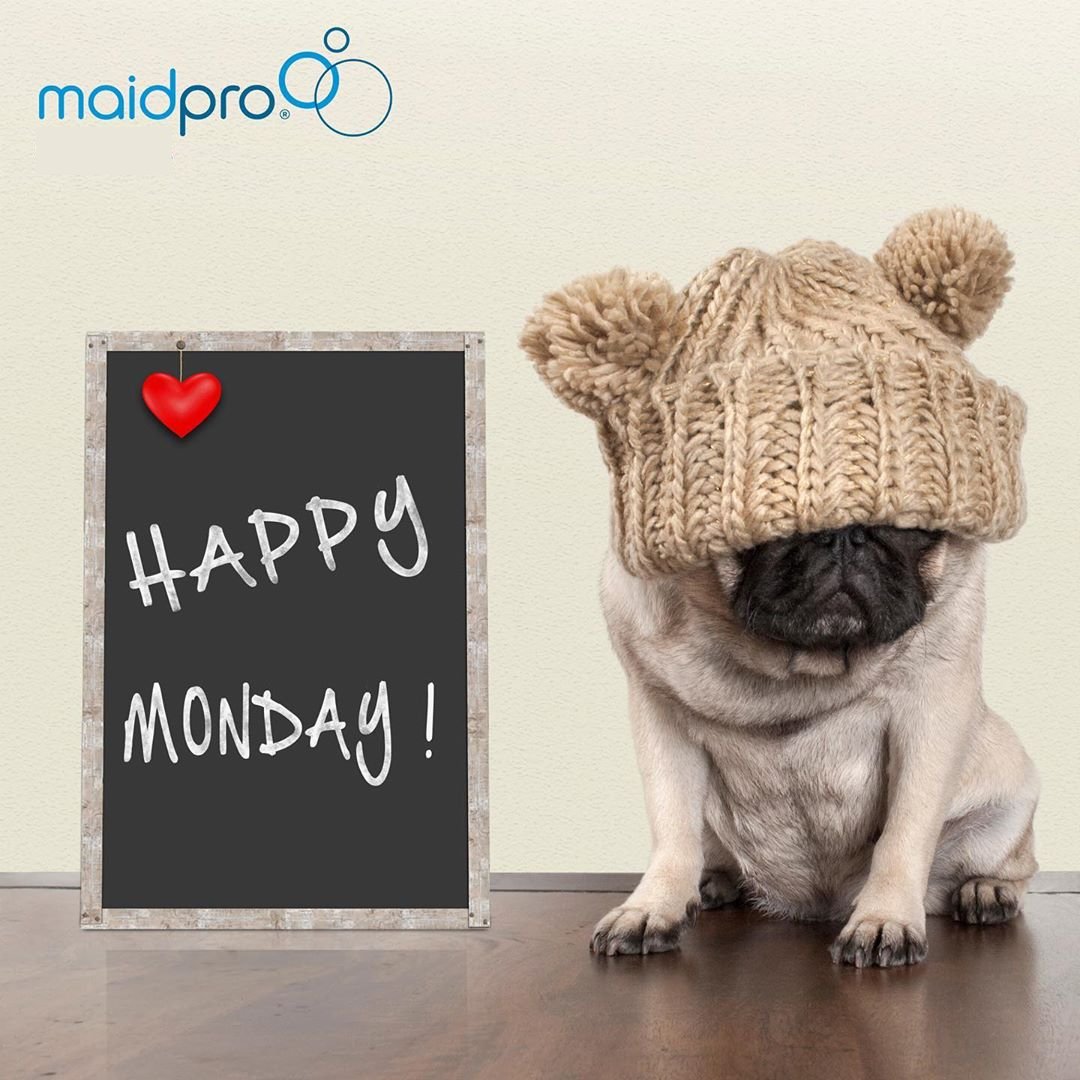 Maidpro__'s tweet photo. Monday keeps happening! Smile through it knowing that your home is clean when you get home 🙂. Call Maidpro now at 780-669-9230 for any inquiry or visit https://t.co/xqOmrXXcZ6 

#sanitize #cleansurroundings #maidpro #housecleaning #cleanhouse #maidservice #momlife #leduc #canada https://t.co/XPZ7OCykig