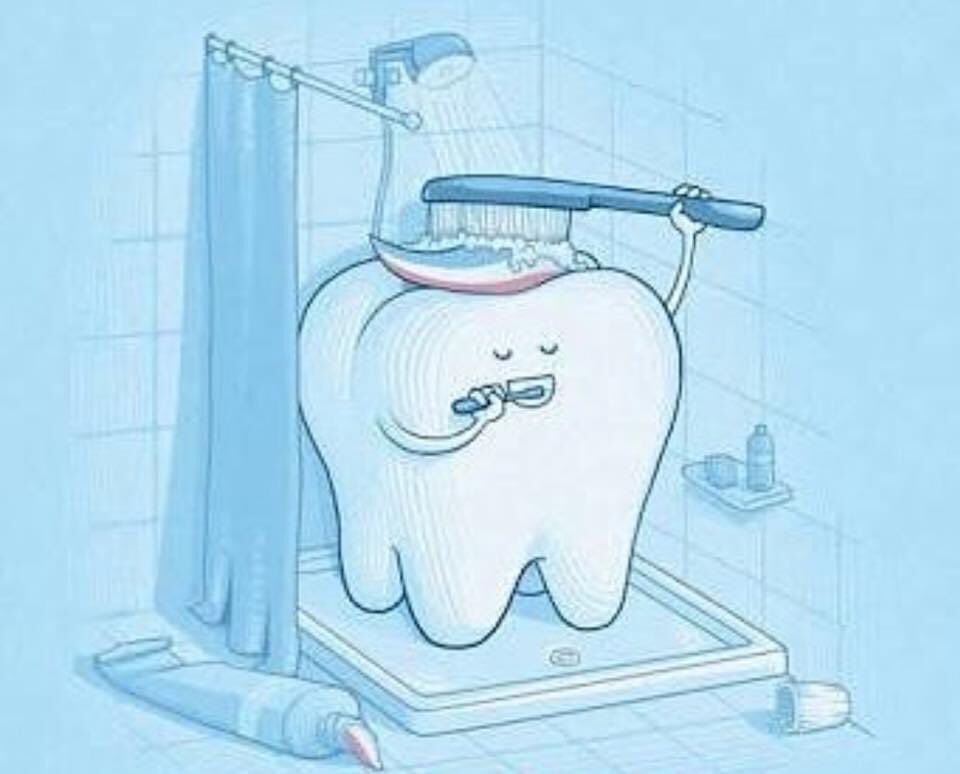 ihab1200's tweet photo. Good morning ! Don’t forget to clean your teeth twice a day at least and to check on them by a dentist twice a year. 
صباح الخير ! لا تنسى ان تنظف اسنانك مرتين باليوم وان تفحص اسنانك مرتين بالسنة. 
0501509211 https://t.co/0DgMegwHAu