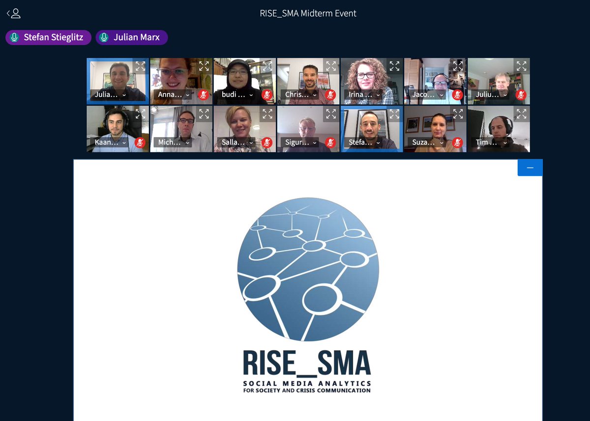 rise_sma's tweet photo. Thanks to all our beneficiaries, partners, advisory board members and @irinatiron_ec for being part of a great virtual @rise_sma midterm event. Keep up the momentum! #MSCActions https://t.co/Oox3p1zo1f