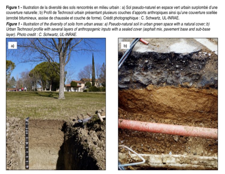 Pour un peu de lecture au sujet de la considération des bienfaits fournis par les #sols #urbains dans l’#aménagement du territoire, c’est par ici 👉🏼 lnkd.in/dMaB63e #urbanisme #ville #pedologie #biodiversite