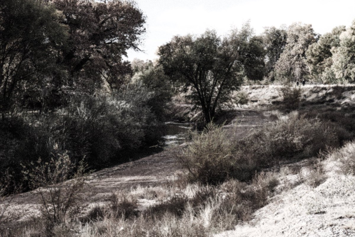 Rio Grande Valley State Park