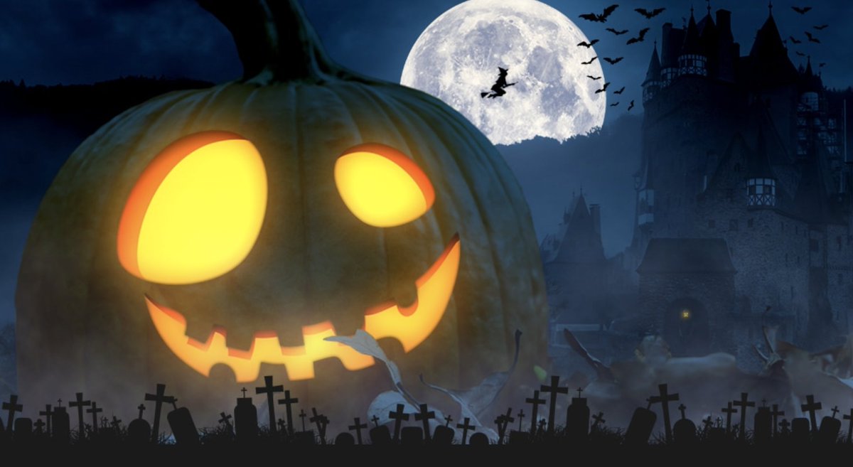 Halloween has come and gone 🎃 but our friends at Torq are extending their spooky sale until Bonfire Night (Thursday 5th) 💥
.
torqfitness.co.uk/product-catego…