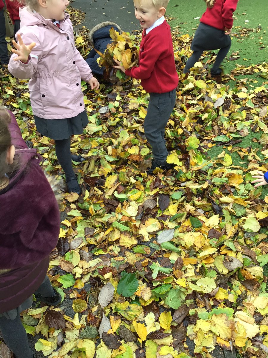 LoosePrimary's tweet photo. All hands on deck to help clear up after the storm! #problemsolvers #superhelpers https://t.co/RmqKzbYkdz