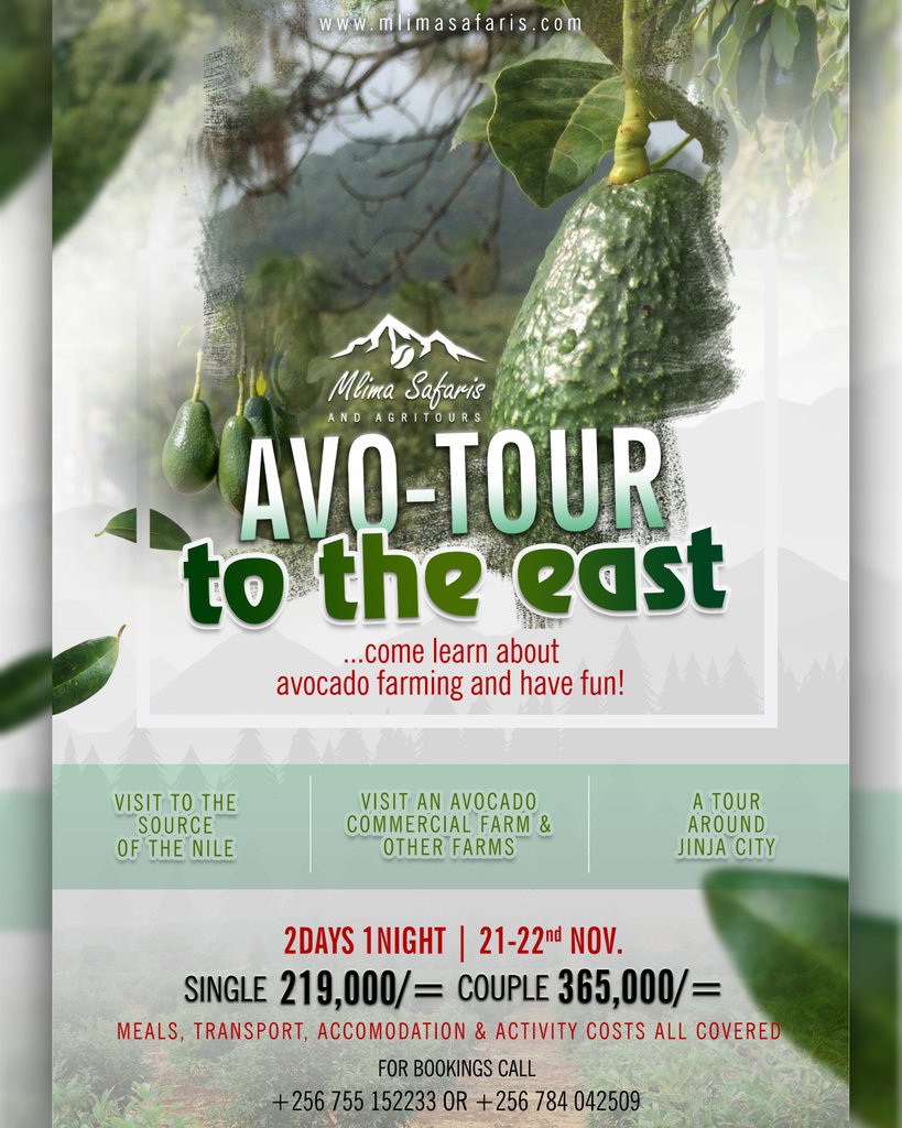 ✅Create your kind of holiday &amp; experience a connection to agriculture with the #AvoTourToTheEast 
⚠️Book Now❗Details Below👇🏽