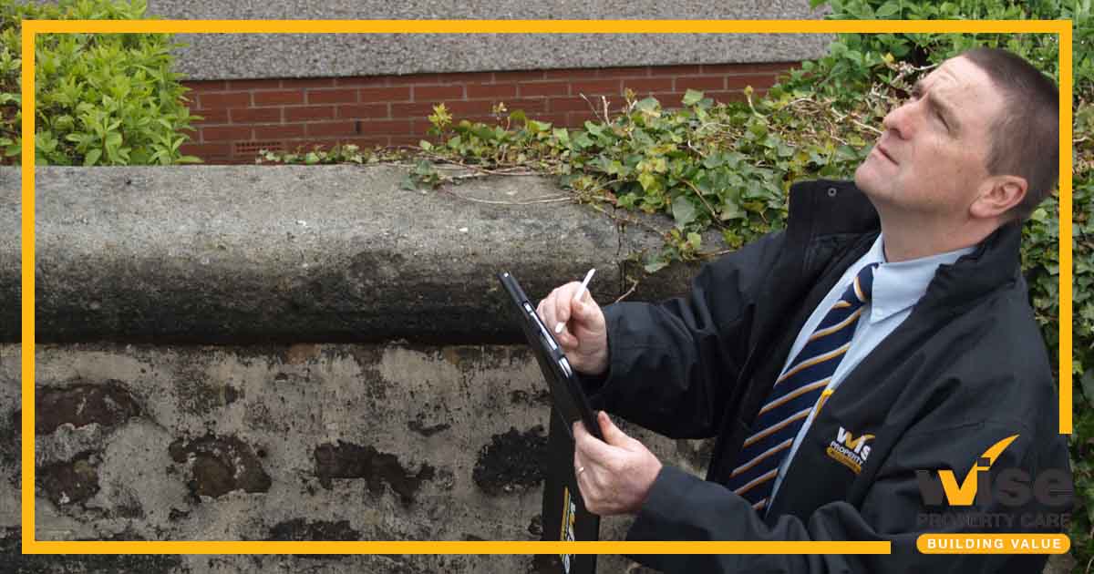 wisepc's tweet image. Whether you have spotted #DampProblems in your home or if you are buying or selling a property and need a specialist damp survey to get to the bottom of persistent problems contact the experts at Wise today.