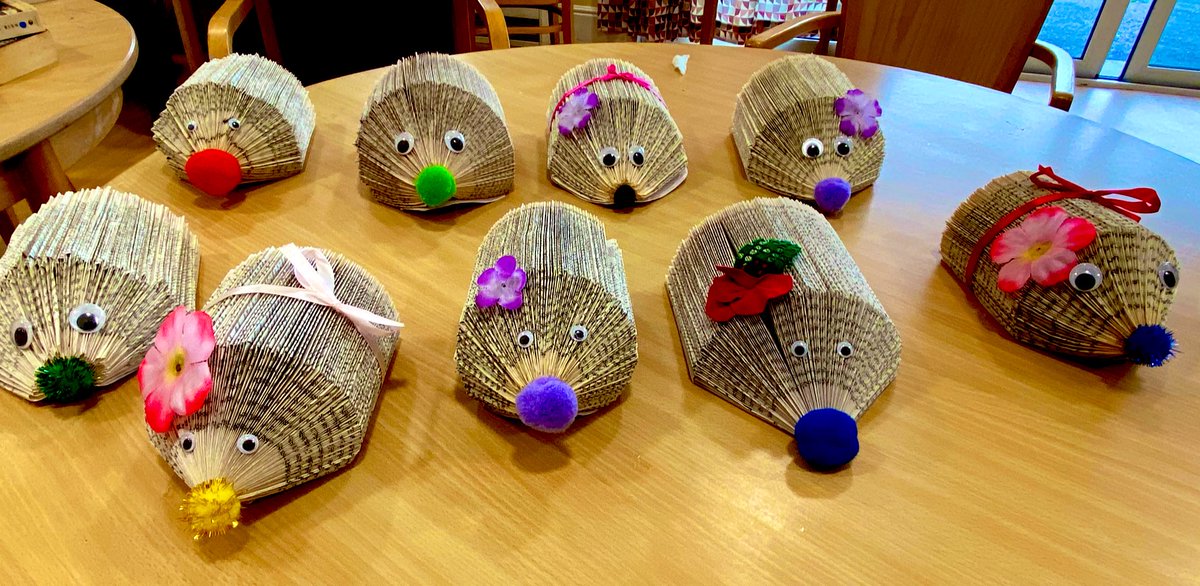 Another crafty Sunday here on Waveney Ward 🦔 🌹 
How adorable are these little guys?
