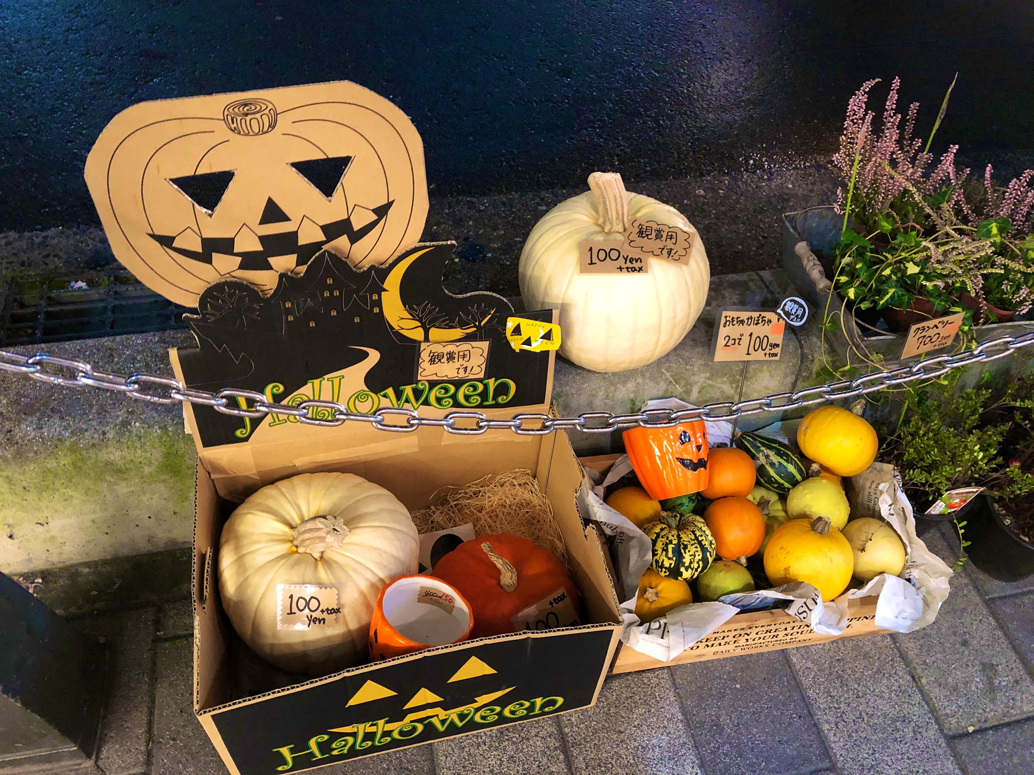 北浦和info 北浦和駅東口の花秋 店頭でハロウィン カボチャセール中でした T Co 3ggja2kptq Twitter