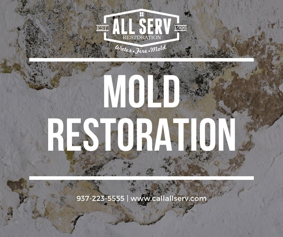 We will perform mold tests and indoor air-quality testing to ensure mold removal.

Visit us >> callallserv.com/our-services/

#mold #waterdamage #moldremediation #restoration #firedamage #moldremoval #handmade #moldmaking #florida #insurance #siliconemold