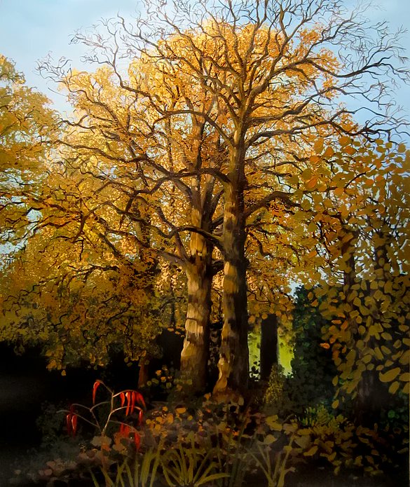 DaveyPaintings's tweet photo. dear @MsHilaryCox @CamCanopyProj not sure where to post this so, well, here...another view of the same fave trees (back gdn lime &amp; sycamore) - this one around this time of year a few yrs back https://t.co/Sb3QGDmDhw https://t.co/1S8ECQ0Fmq
