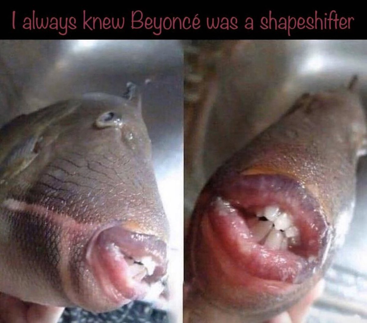 JQRyder's tweet photo. @MrNativeTribe either Beyoncé or Jay-Z, you decide. https://t.co/7bamWnAGDs