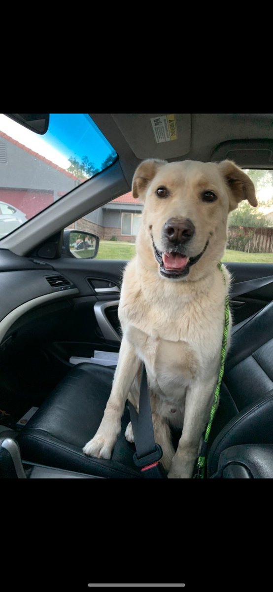 WtfHeidy_'s tweet photo. ‼️Please retweet! Last seen between ave J and Lancaster blvd by Sierra hwy. thank you‼️ https://t.co/d6IHAOCP8R