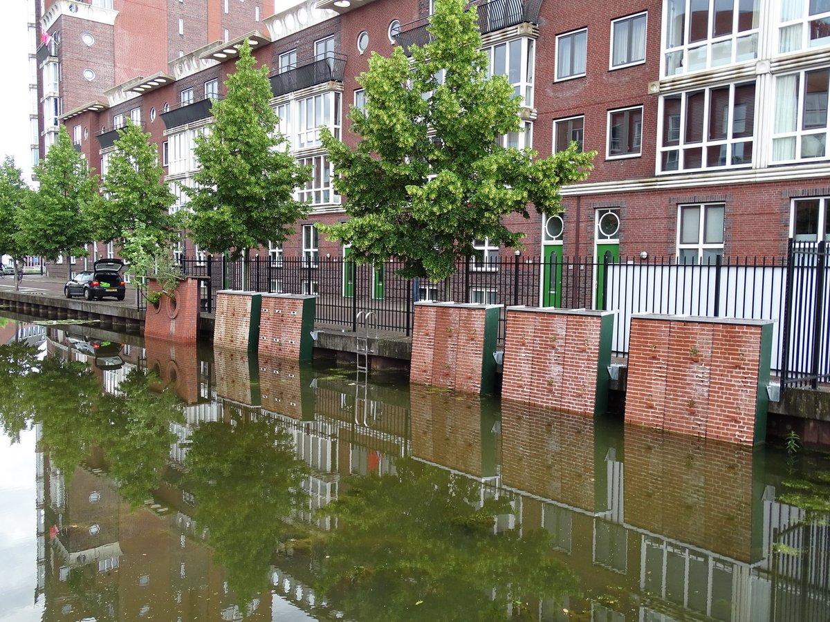 urbane_natuur's tweet photo. Experimenteren met begroeide kademuren! Waar voorheen 't groen -de muurvegetatie- werd geweerd, wordt dat nu ontwikkeld. Daarbij zijn er proefopstelling in A'dam en Breda ... met verdere kennisdeling (nu ook Almere) en ism TU Delft &amp; @FLORONNederland @NatuurinBreda @AlmereNatuur https://t.co/vEmNTYjm1N