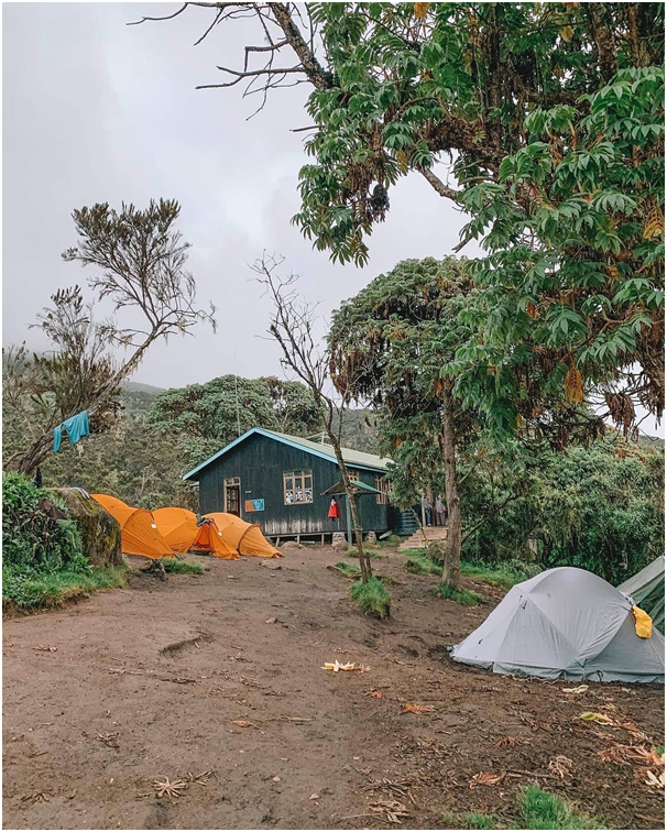 wilderheritage's tweet photo. The #Machame route is the busiest of the seven Kilimanjaro route, with about 50% of Kilimanjaro climbers using it each year. It’s also one of the most scenic Kilimanjaro routes.
#Trekker #Adventuremaker #nature #photography #camping #hiking #kilimanjaroadventures #TrekkingTour https://t.co/ffOgwJ2Kfo